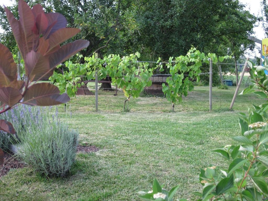 Les Gites Du Veau D'Or Ozillac Kültér fotó